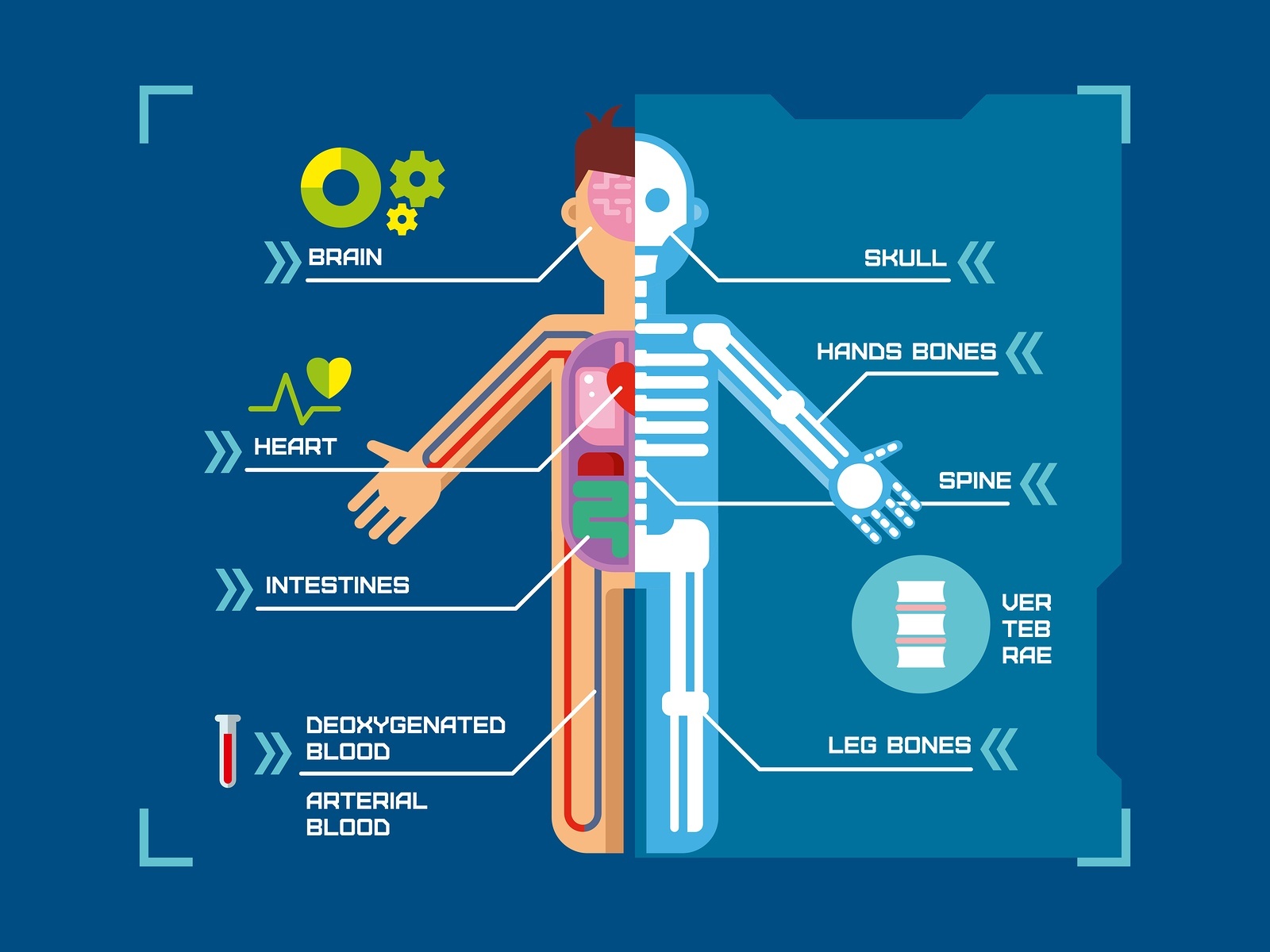 Physical Benefits Of Receiving Massage Therapy Northwest Academy