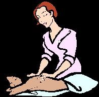 massage therapy careers