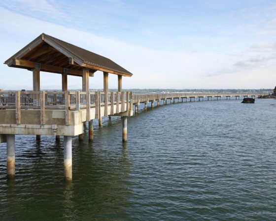 Boulevard Park Pier, Bellingham