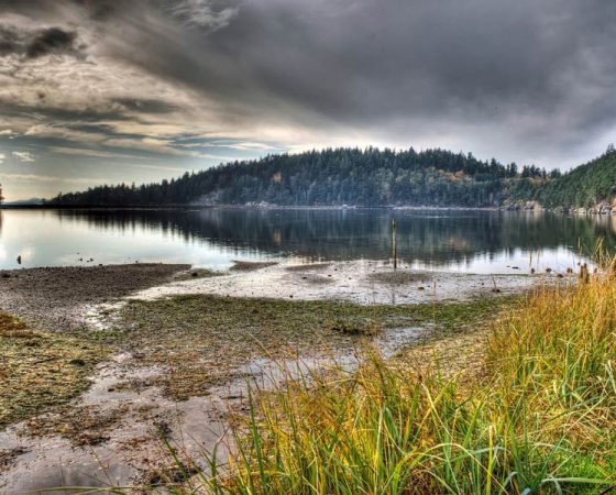 Chuckanut Beach, Bellingham