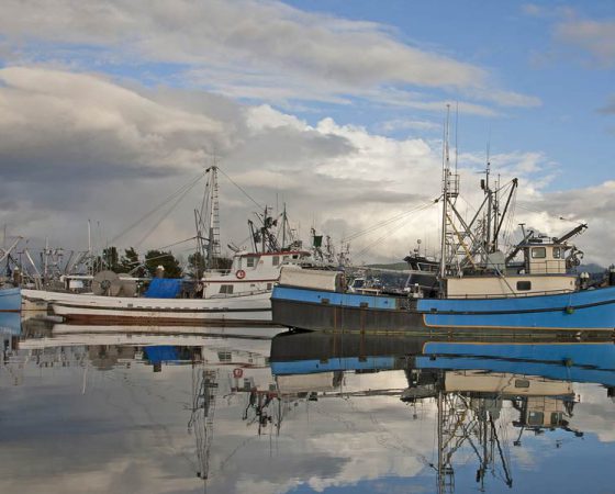 Fishing Fleet, Bellingham Harbor