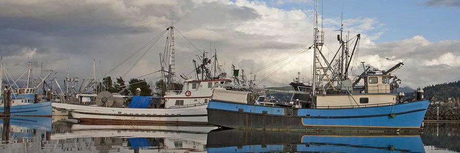 Fishing Fleet, Bellingham Harbor