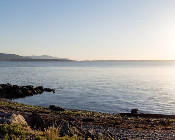 Bellingham Bay