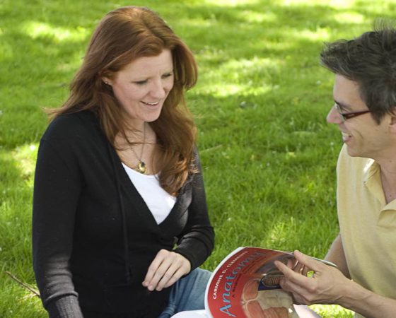 Students Studying Outside