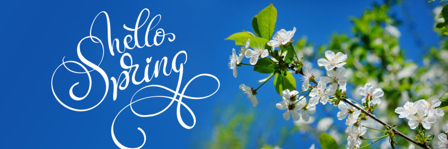 8 Tips to Ensure a Motivated and Productive Spring