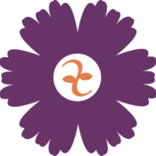 Seattle Massage Pro