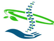 Shelton Chiropractic and Wellness LLC